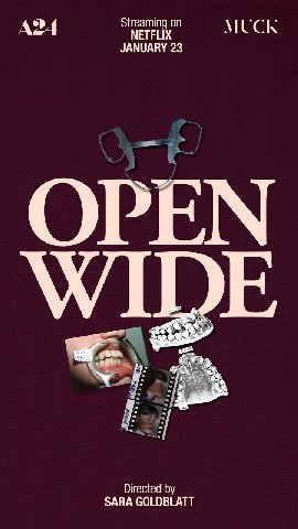 Open Wide (2024)

Малость не то, чего я ожидал. Это документалка в очень малой степени про ортодонтию, а больше про эксцентричное семейство Мью. Такой портрет, где они сами за себя говорят и роют сами