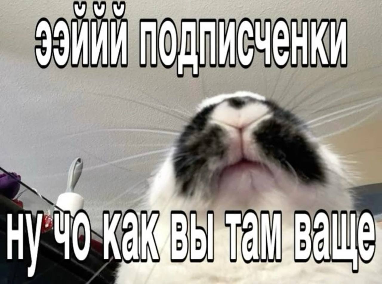 ЗЗИИИ