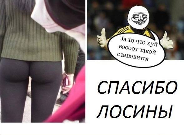 4 СПАСИБО ЛОСИНЫ