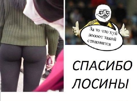 4 СПАСИБО ЛОСИНЫ