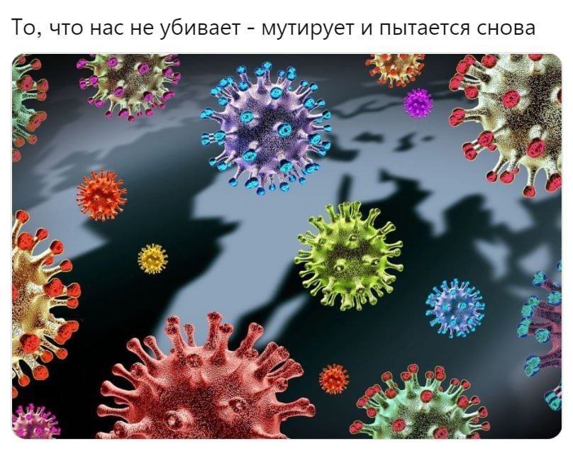 То, что нас не убивает мутирует и пытается снова 22 we 4, we