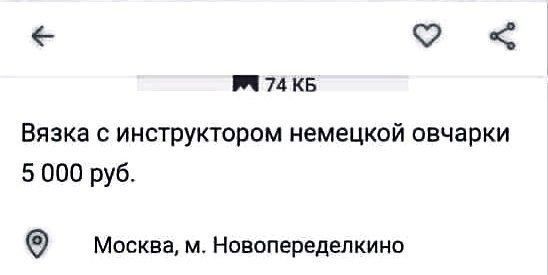 74 Вязка с инструктором немецкой овчарки 5 000 руб. Москва, Новопеределкино