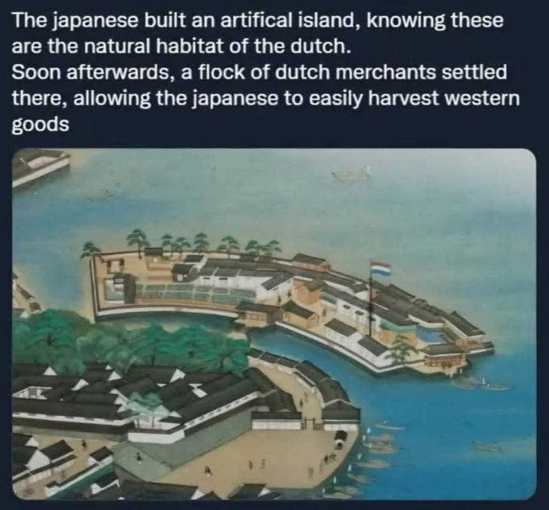 Тре Japanese built an artifical island, knowing these are the natural habitat of the dutch. Soon afterwards, a flock of dutch merchants settled there, allowing the japanese to easily harvest western g