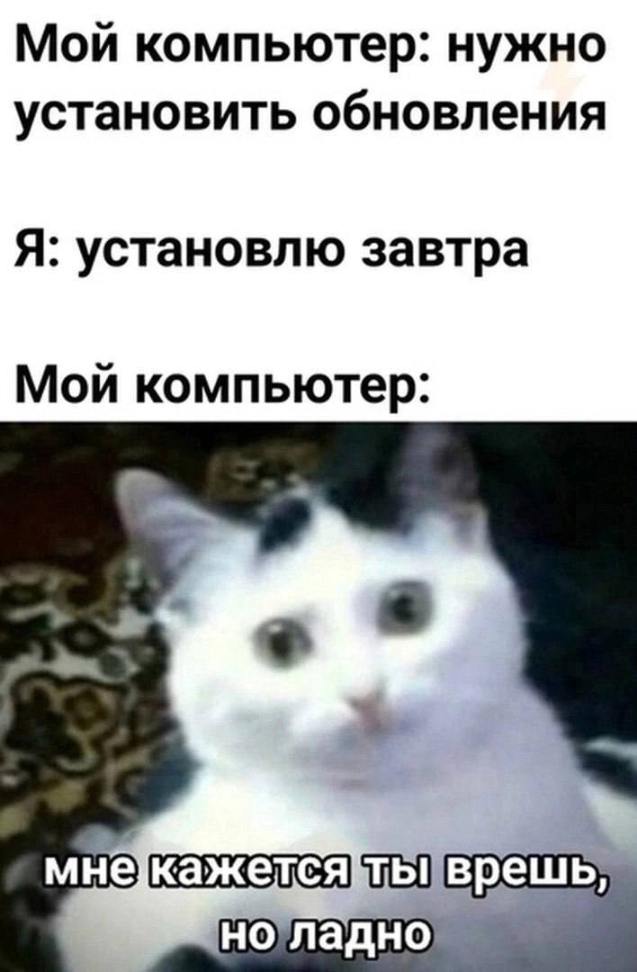 Мой компьютер: нужно установить обновления Я: установлю завтра Мой компьютер: