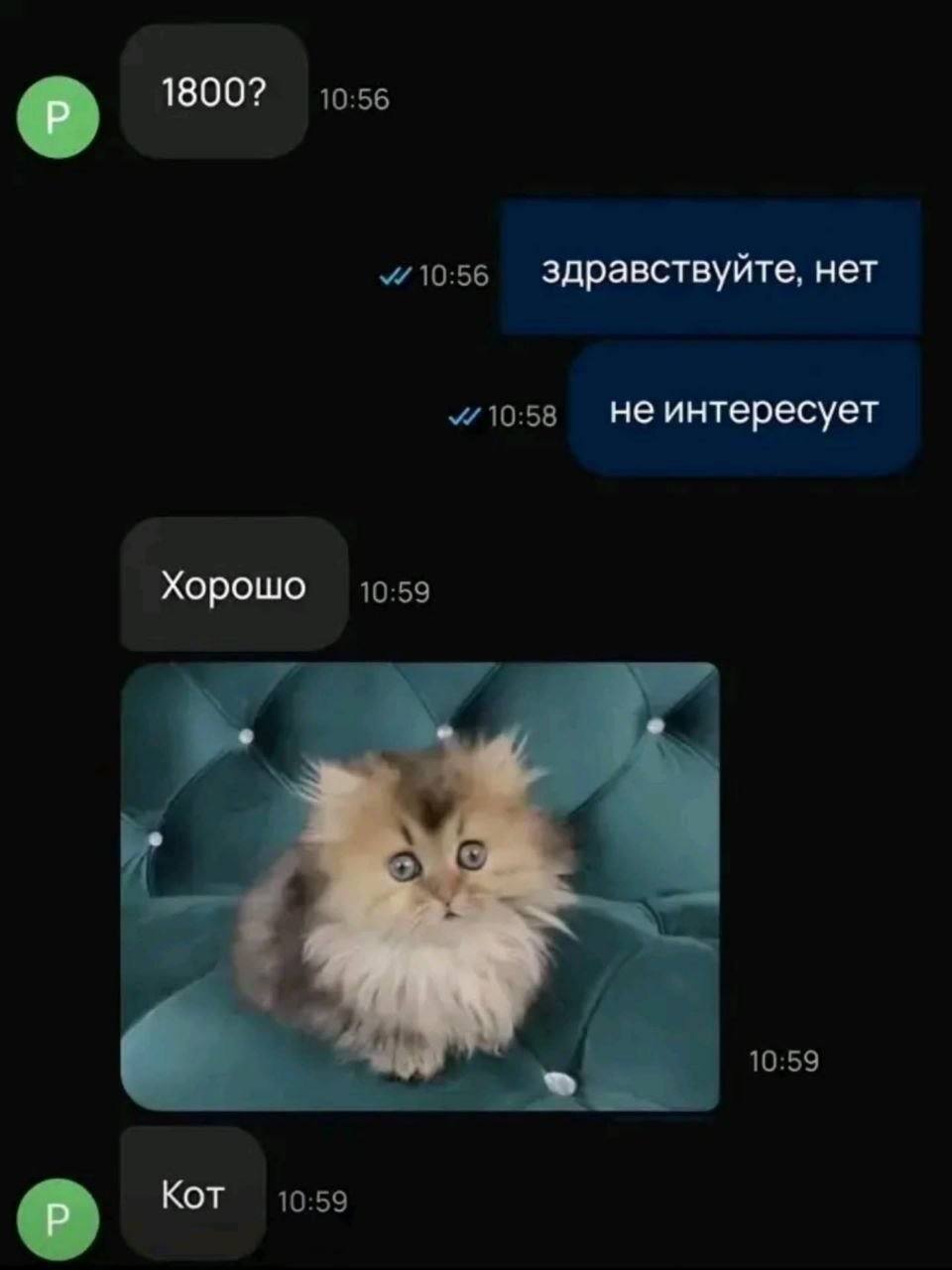 1800? здравствуйте, нет не интересует Хорошо Кот