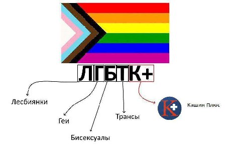 Лесбиянки Кашин Плюс rev Трансы Бисексуалы