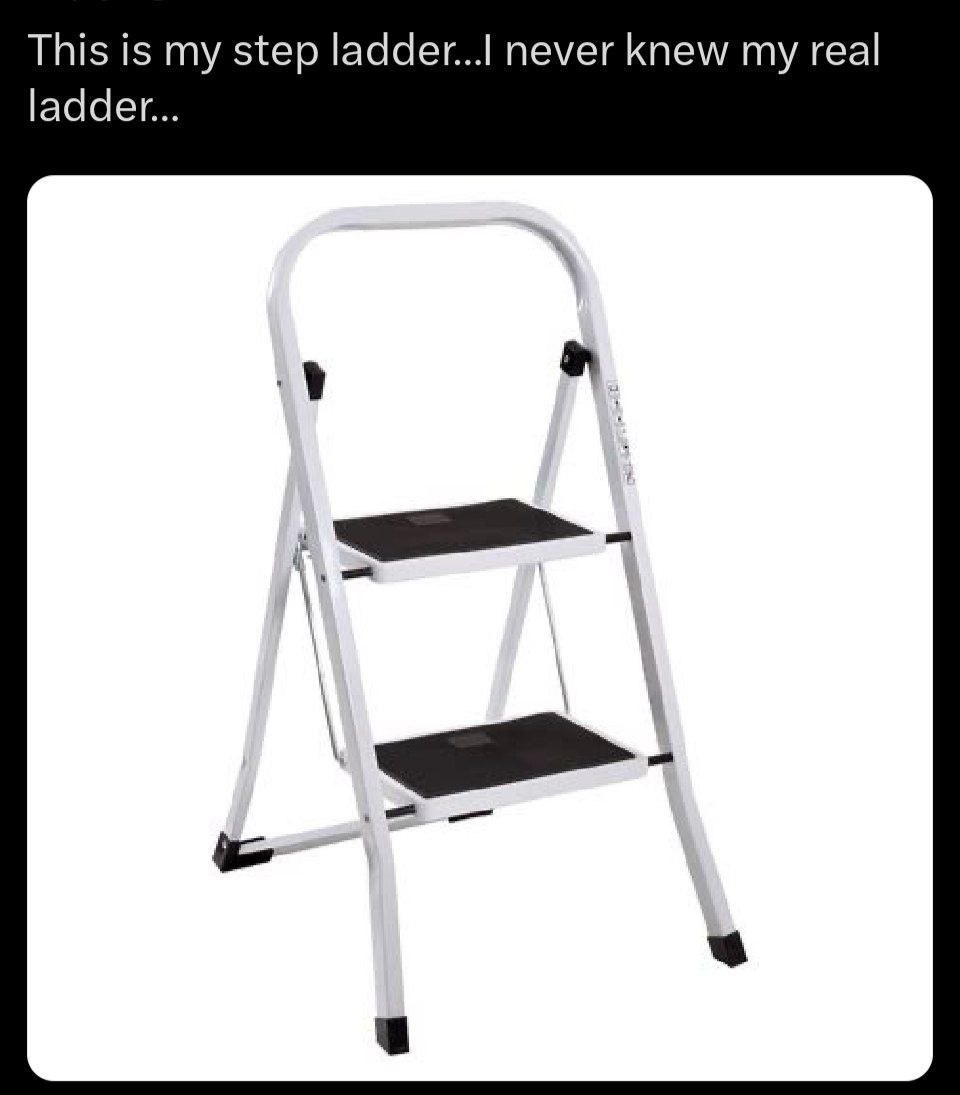 This is my step never knew real ladder...