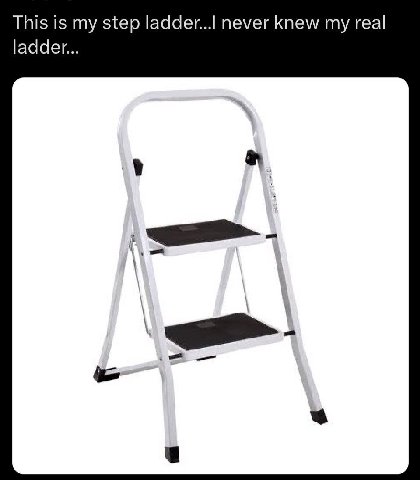 This is my step never knew real ladder...
