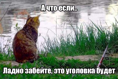 Ачто.если.. AYA Ладно забеите, это уголовка будет