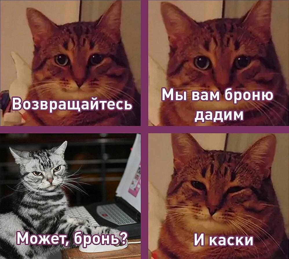 Мы вам броню Возвращайтесь дадим Может, И каски