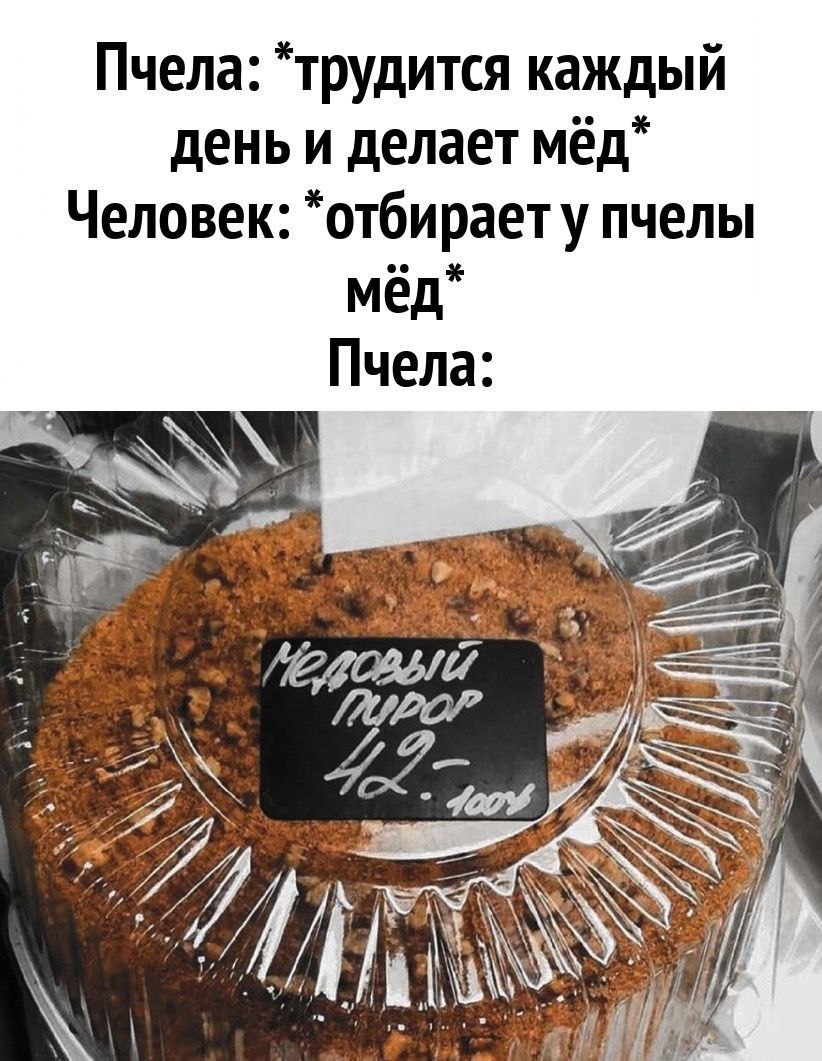 Пчела: “трудится каждый день и делает мёд” Человек: “отбирает у пчелы мёд” Пчела: =A