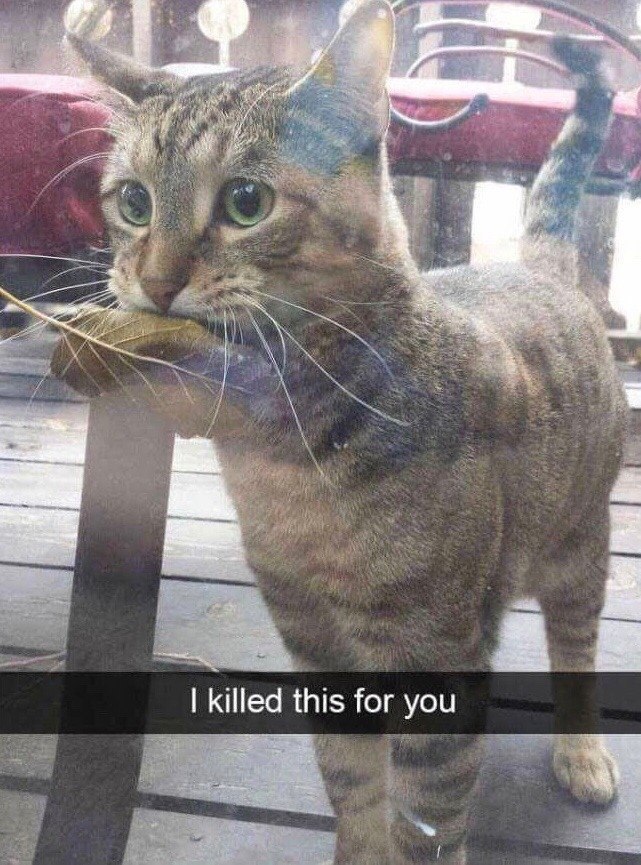 this for you