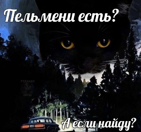Пель.мени есть? если найду?