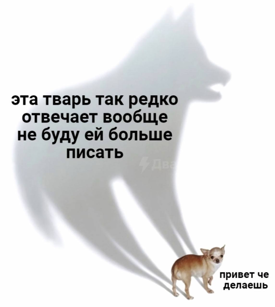 эта тварь так редко отвечает вообще не буду больше писать привет че делаешь