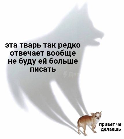 эта тварь так редко отвечает вообще не буду больше писать привет че делаешь