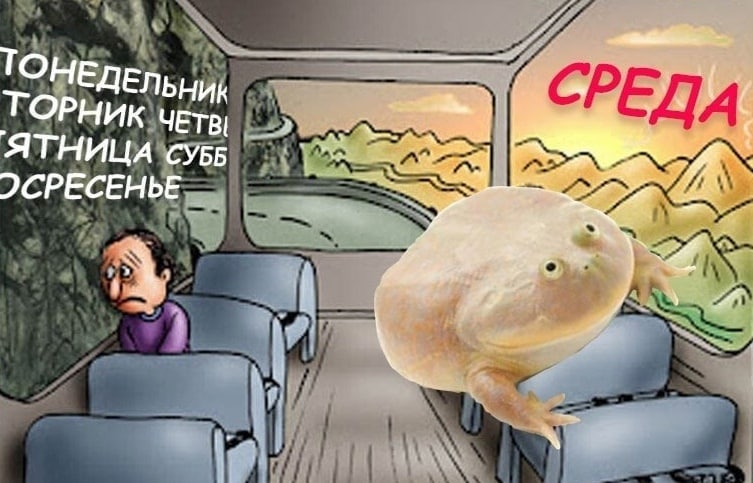 НЕДЕЛЬ НИК СРЕДА ОСРЕСЕНЬЕ
