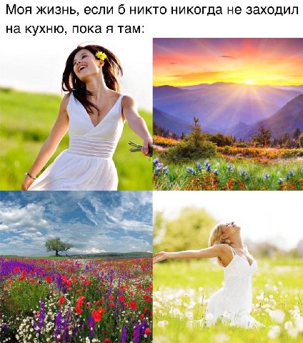 Моя жизнь, если б никто никогда не заходил на кухню, пока я там: