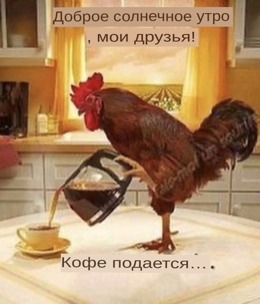 Доброе солнечное мои друзья! офе TCA...