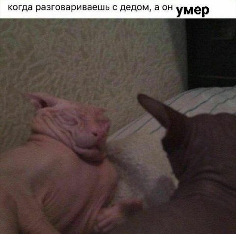 когда разговариваешь с дедом, аон умер