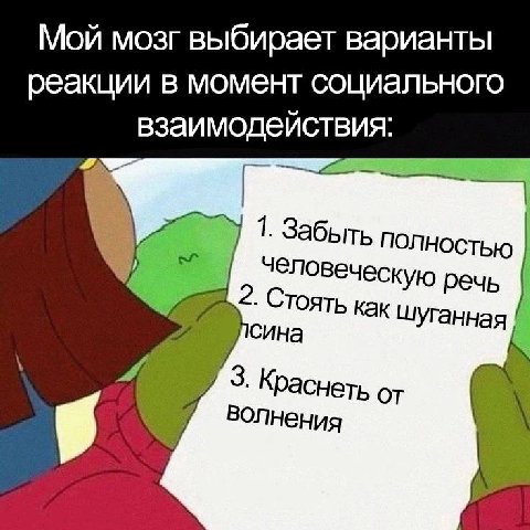 Мой мозг выбирает варианты реакции в момент социального взаимодействия: 1. Забыть ПОЛНОСТЬЮ человеческую речь 2. Стоять как шуганная сина 3. Краснеть от волнения