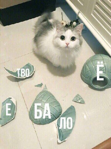 я