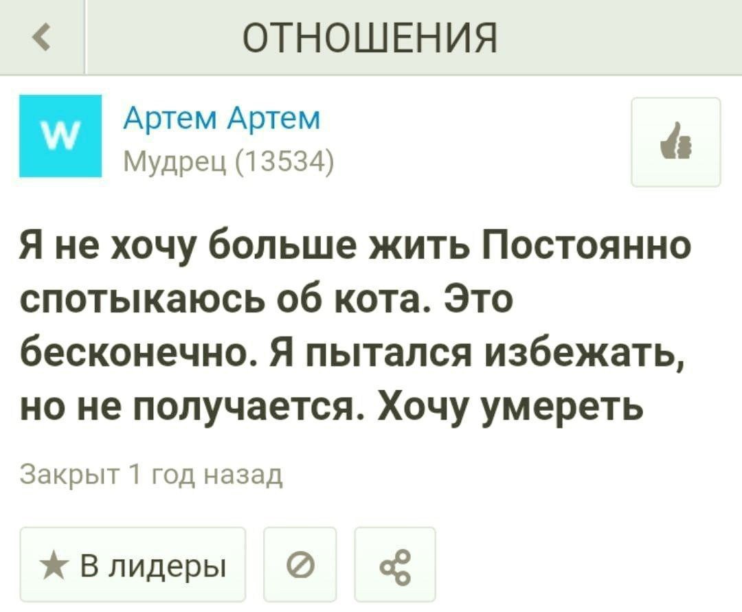 ОТНОШЕНИЯ Артем Артем Мудрец (13534) Я не хочу больше жить Постоянно спотыкаюсь об кота. Это бесконечно. Я пытался избежать, но не получается. Хочу умереть Закрыт 1 год назад Влидеры