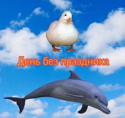 у аздника