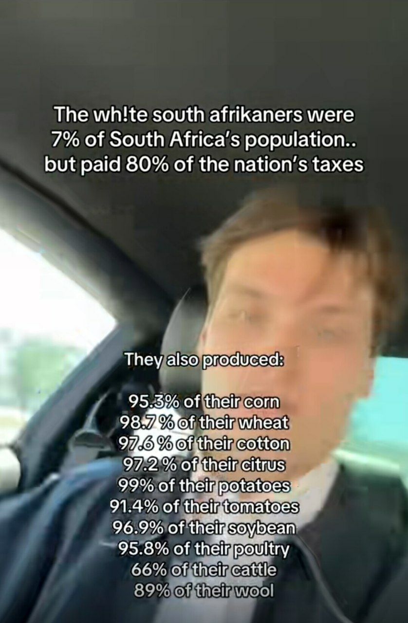 The мпКе south afrikaners were 7% of South Africa’s population but paid 80% of the nation’s taxes They also produced 95.3% of their corn their wheat fitheir cotton 97.2 о heir citrus 91.4% of their to