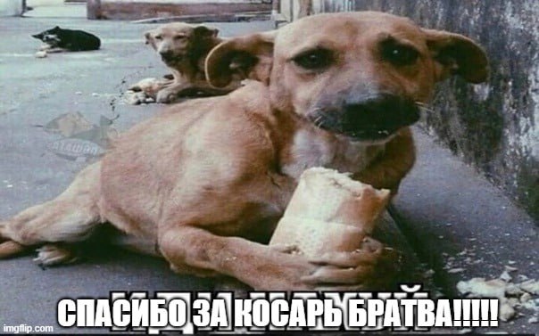 💪🏻💪🏻🐘БРАТВА МЫ НАКРАФТИЛИ ТРИЛЛИОН ПОДПИСУЛИКОВ

передаю плотный шалом старшим, которые вели нас к этому:
папочке кабинетной мемологии, невзаимной любви, кариночке, складу годноты, обменнику битка, пе