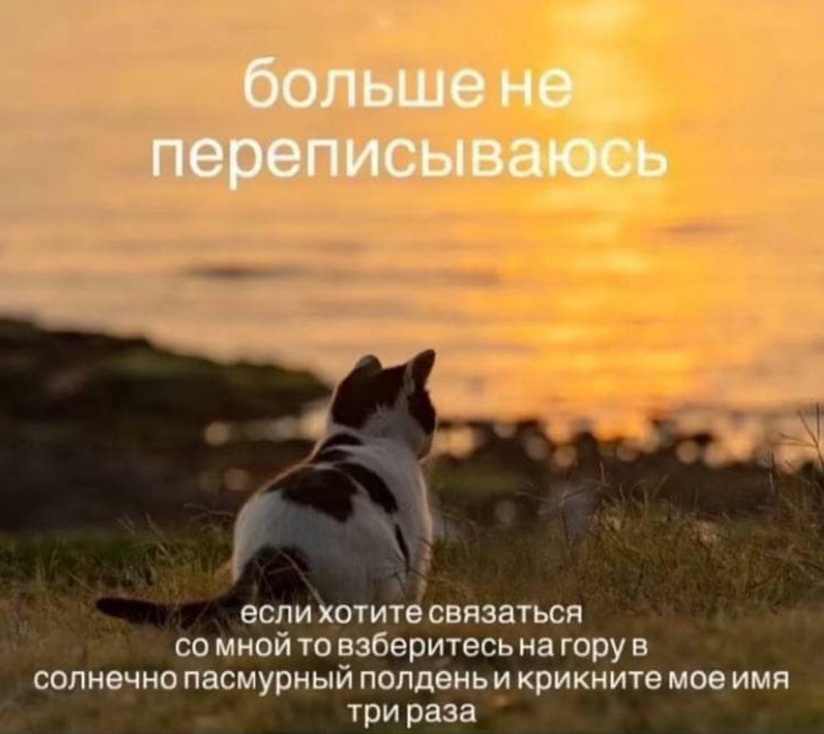 боль a переписыв если хотите связаться мной то взберитесь нагору в солнечно пасмурный полденьи крикните мое имя три раза