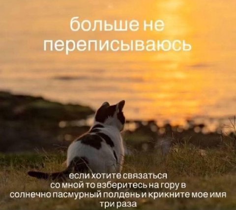 боль a переписыв если хотите связаться мной то взберитесь нагору в солнечно пасмурный полденьи крикните мое имя три раза