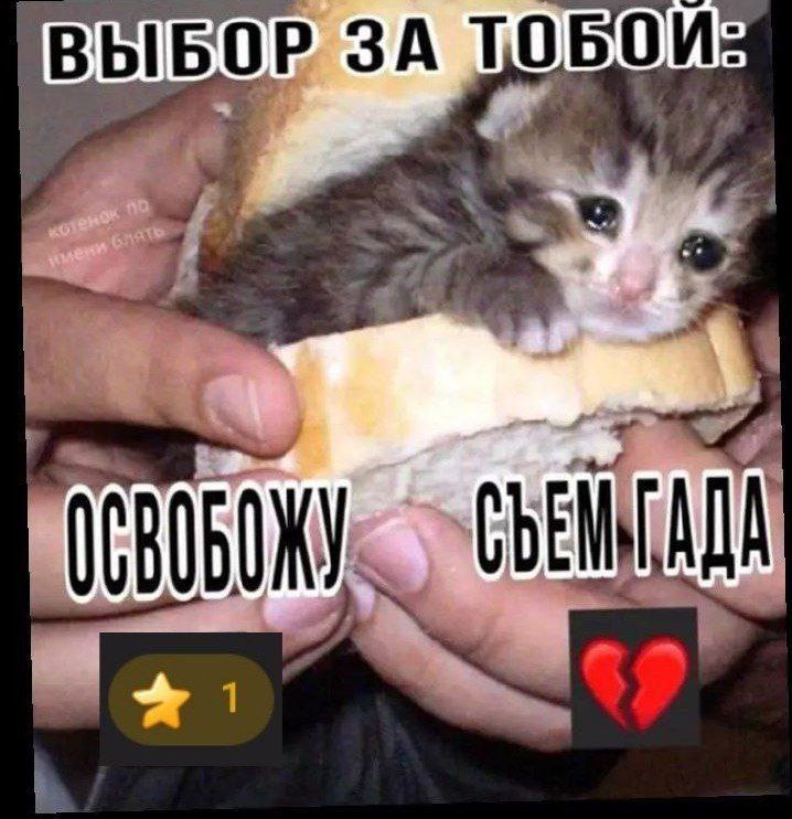 ВЫБОР ЗА