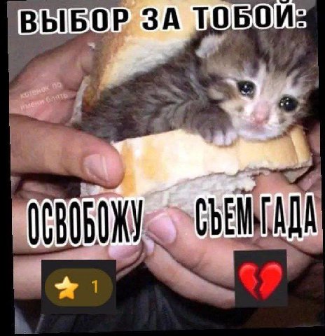 ВЫБОР ЗА
