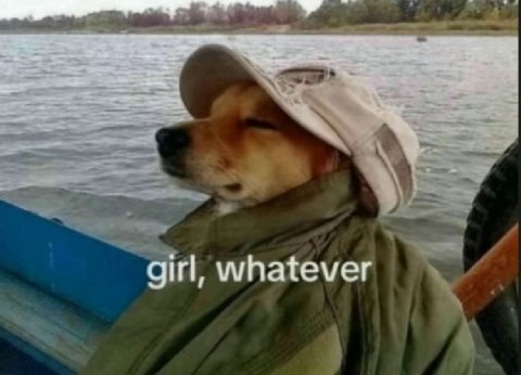 girl, whatever