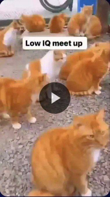 Low meet up
