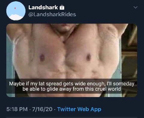 Landshark @LandsharkRides с Maybe if my lat spread gets wide enough, I'll someday be able to glide away from this cruel world 5:18 7/16/20 Twitter Web App