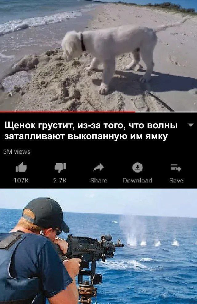 a Щенок грустит, из-за того, что волны затапливают выкопанную ямку