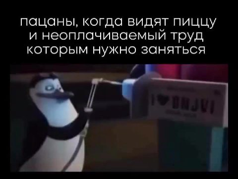 пацаны, когда видят пиццу и неоплачиваемый труд которым нужно заняться