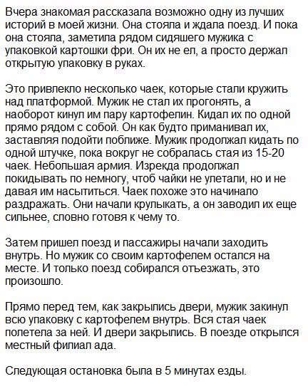 Вчера знакомая рассказала возможно одну из лучших историй в моей жизни. Она стояла и ждала поезд. И пока она стояла, заметила рядом сидяшего мужика с упаковкой картошки фри. Он не а просто держал откр