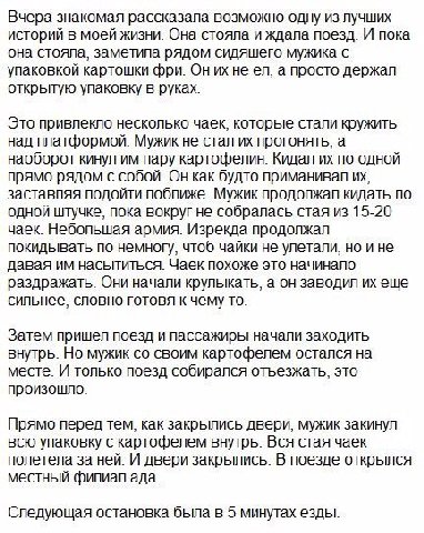 Вчера знакомая рассказала возможно одну из лучших историй в моей жизни. Она стояла и ждала поезд. И пока она стояла, заметила рядом сидяшего мужика с упаковкой картошки фри. Он не а просто держал откр