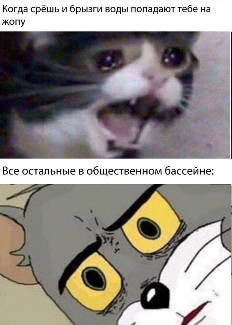 МЕМЫ ОТ БИМО