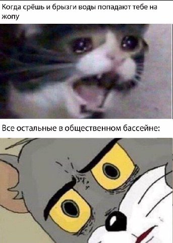 МЕМЫ ОТ БИМО
