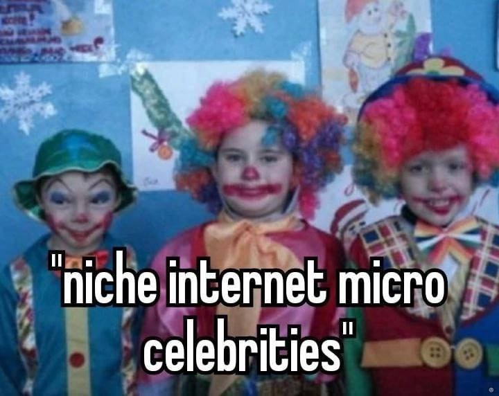 ‘niche internet micro celebrities