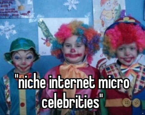 ‘niche internet micro celebrities