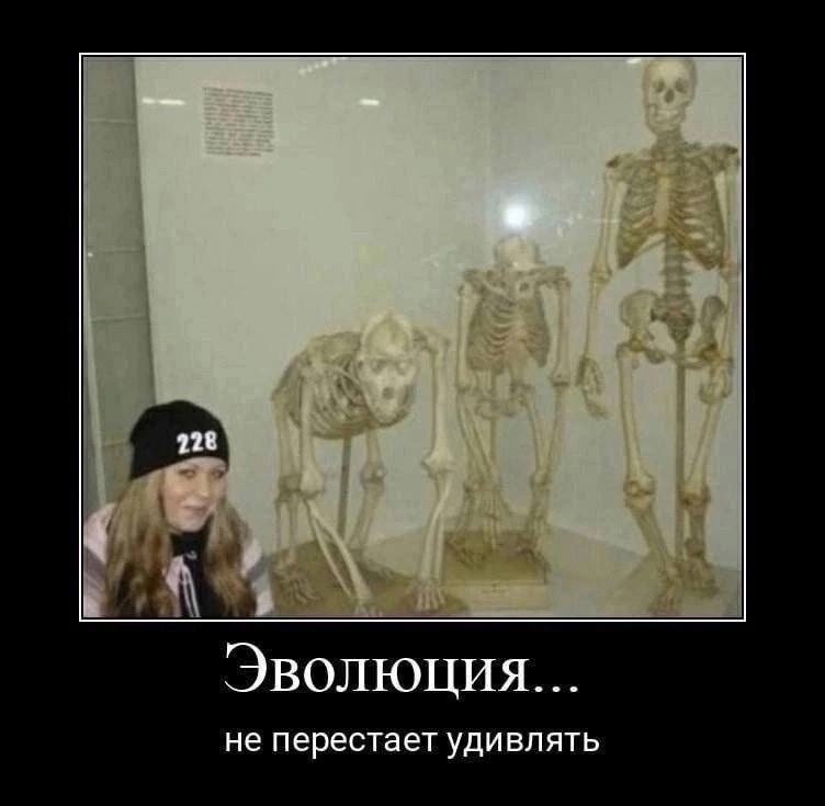 Эволюция... не перестает удивлять