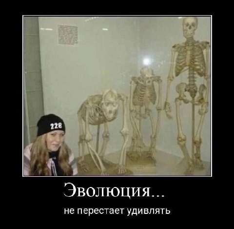 Эволюция... не перестает удивлять