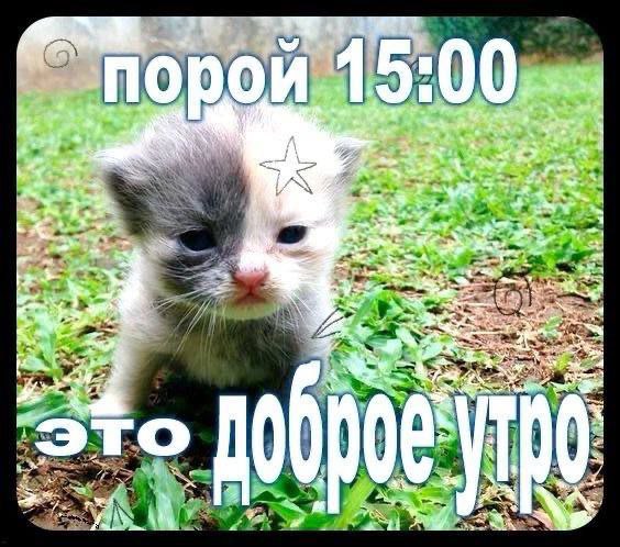 5 порой 1 or a
