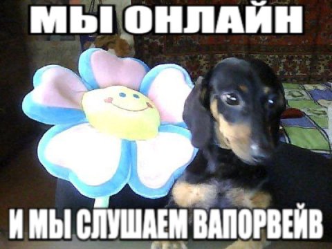ИМЫ СЛУШАЕМ ВАПОРВЕЙВ