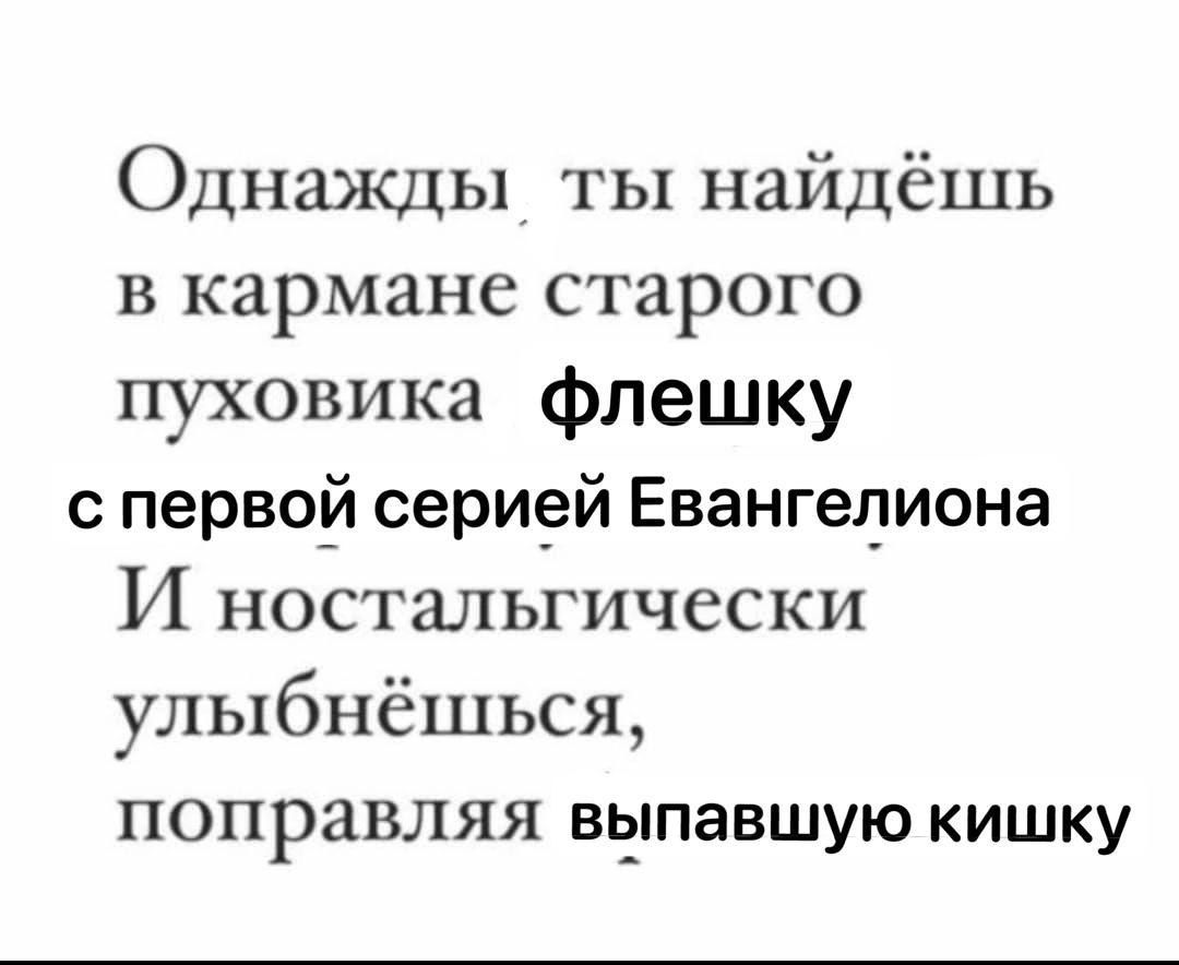 Однажды ты найдёшь в кармане старого пуховика флешку с первой серией Евангелиона И ностальгически улыбнёшься, поправляя выпавшую кишку