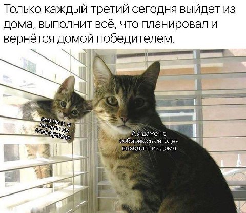 Только кажлый третий сегодня из дома, выполнит всё, что планировал и вернётся домой победителем. К сегодня выходить из дома